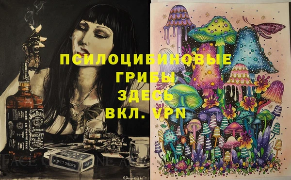 мдпв Балабаново